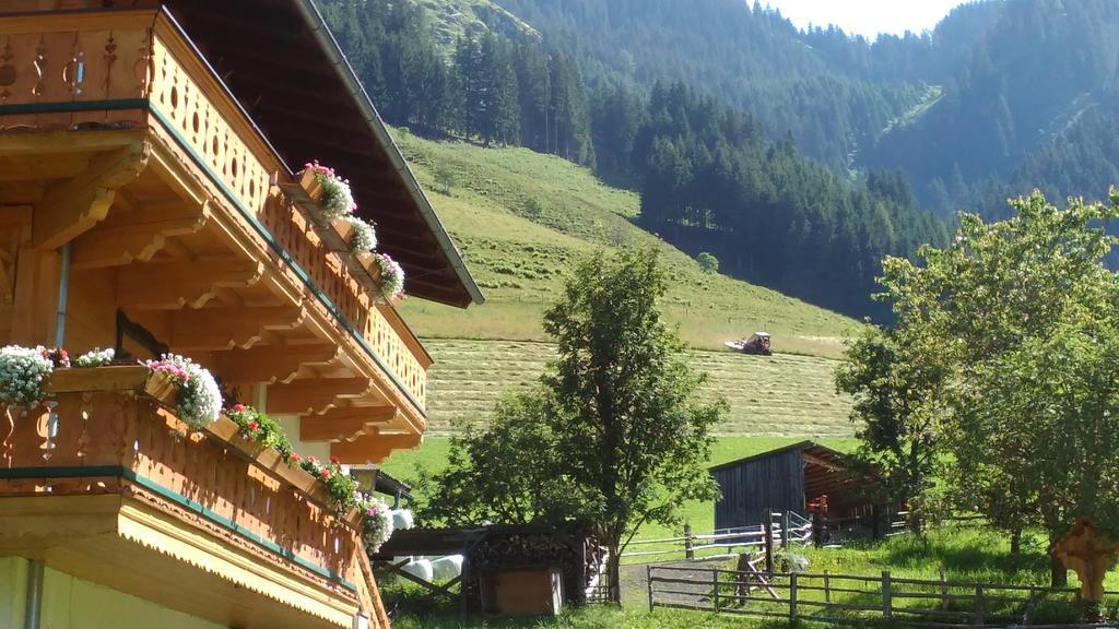 Biobergbauernhof Brandenau Διαμέρισμα Taxenbach Εξωτερικό φωτογραφία