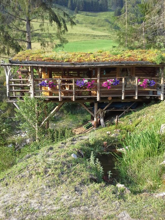 Biobergbauernhof Brandenau Διαμέρισμα Taxenbach Εξωτερικό φωτογραφία