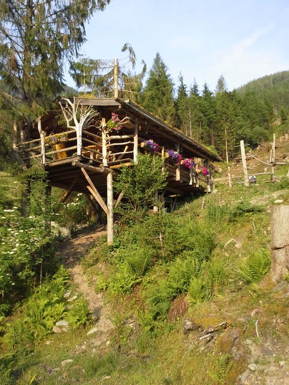 Biobergbauernhof Brandenau Διαμέρισμα Taxenbach Εξωτερικό φωτογραφία